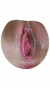 1528276441622