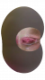 1528277226418