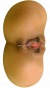 20180604 210449